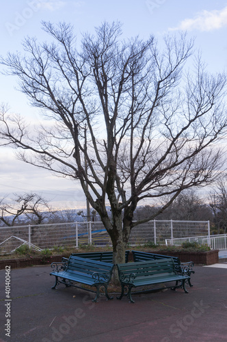 Amusement park bench, Ikoma City, Nara Prefecture.
