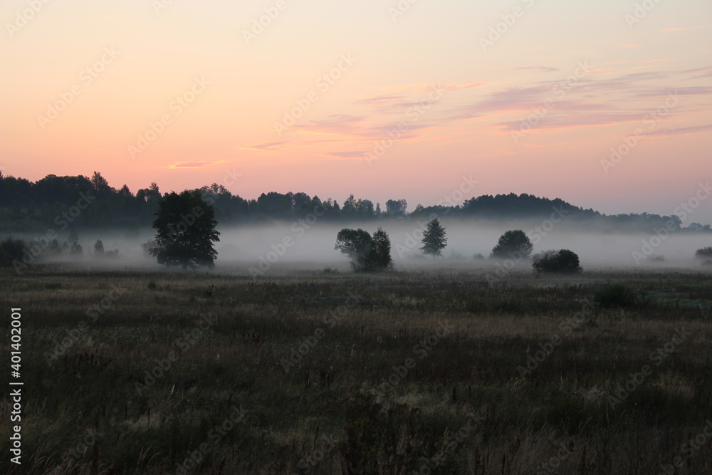 Meadow at dawn on a summer morning Meadow at dawn on a summer morning