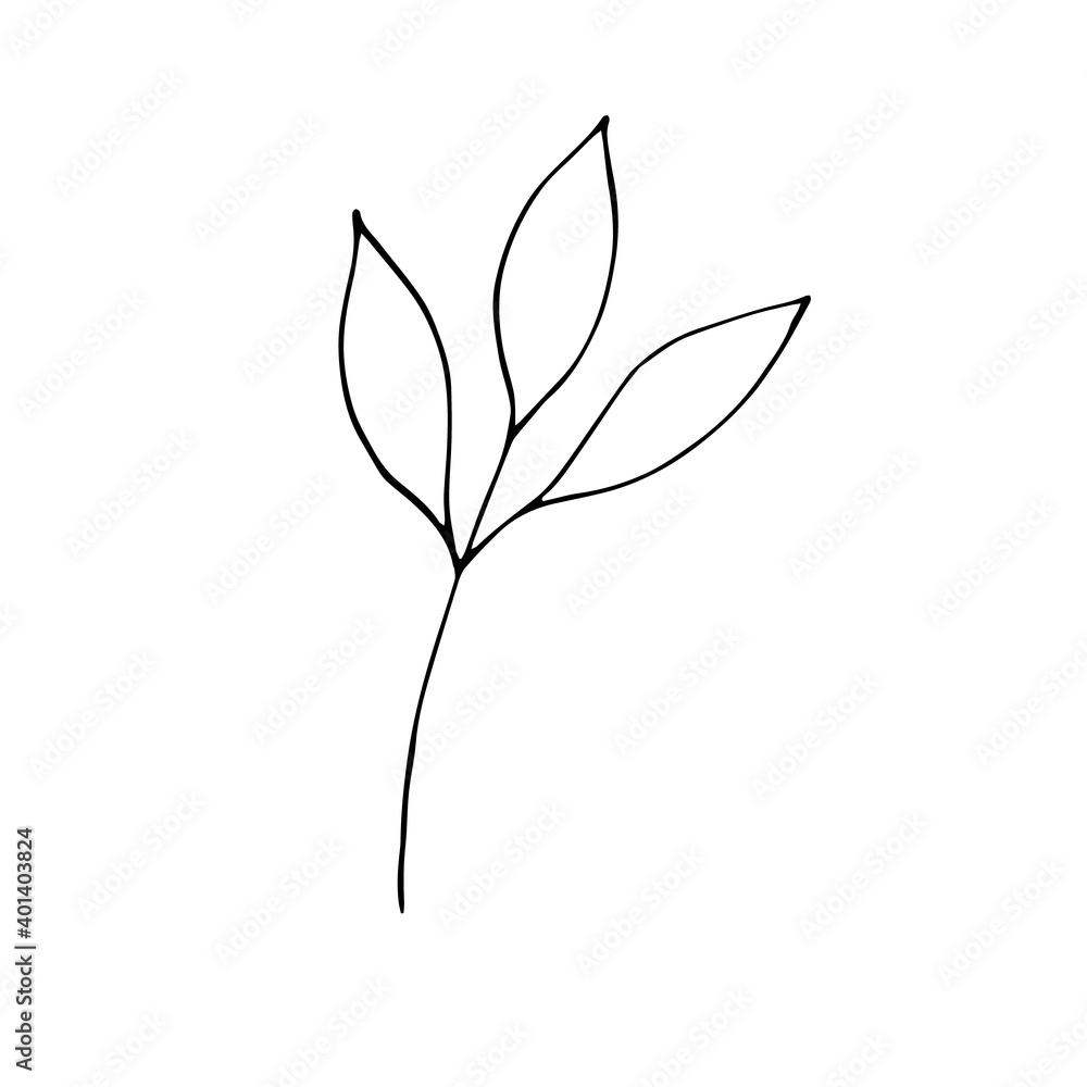 Sprig with leaves, vector doodle illustration, hand drawing Sprig with leaves, vector doodle illustration, hand drawing