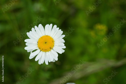 a small world under your feet
