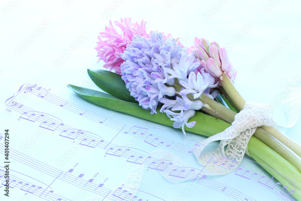 レースのリボンのついたヒヤシンスの花束と楽譜 Stock 写真 Adobe Stock