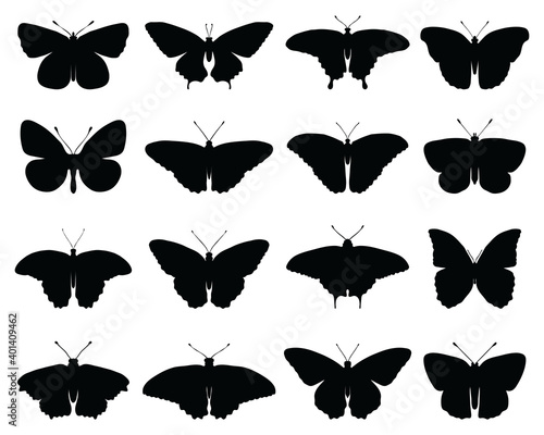Black silhouettes of butterflies on a white background 
