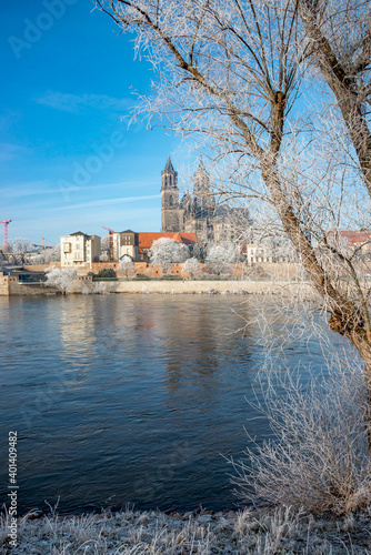 Magdeburg historical downtown in Winter with icy trees and blue sky at sunny day, Germany.