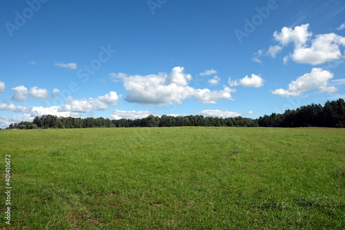 Beautiful countryside landscape with large green field and deciduous forest at far under white clouds on blue sky in the hot summer day
