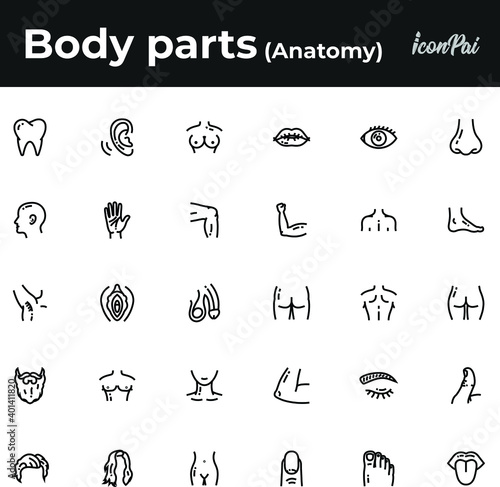 Human body parts anatomy