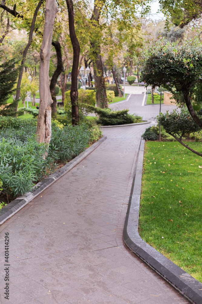 Photo of the road in the middle of the park among the trees