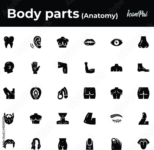 Human body parts anatomy