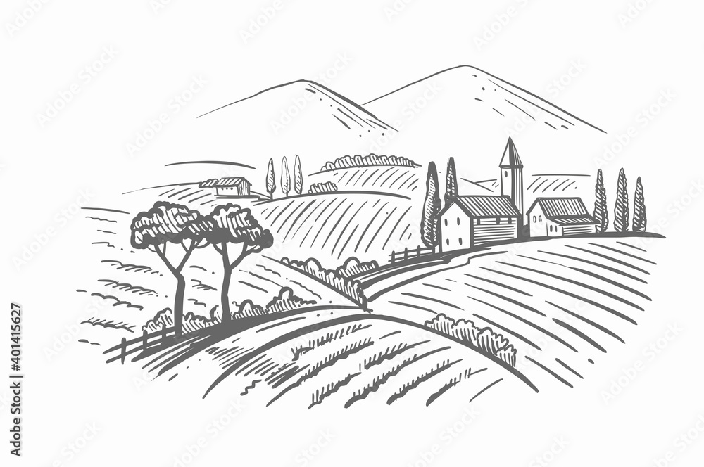 vector vintage hand drawn illustration of wineyard
