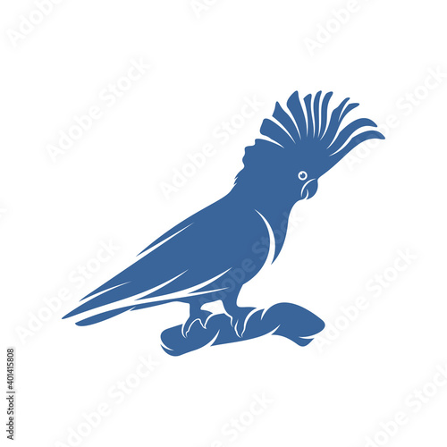 Cockatoo Bird design vector illustration, Creative Parrot Bird logo design concepts template, icon symbol