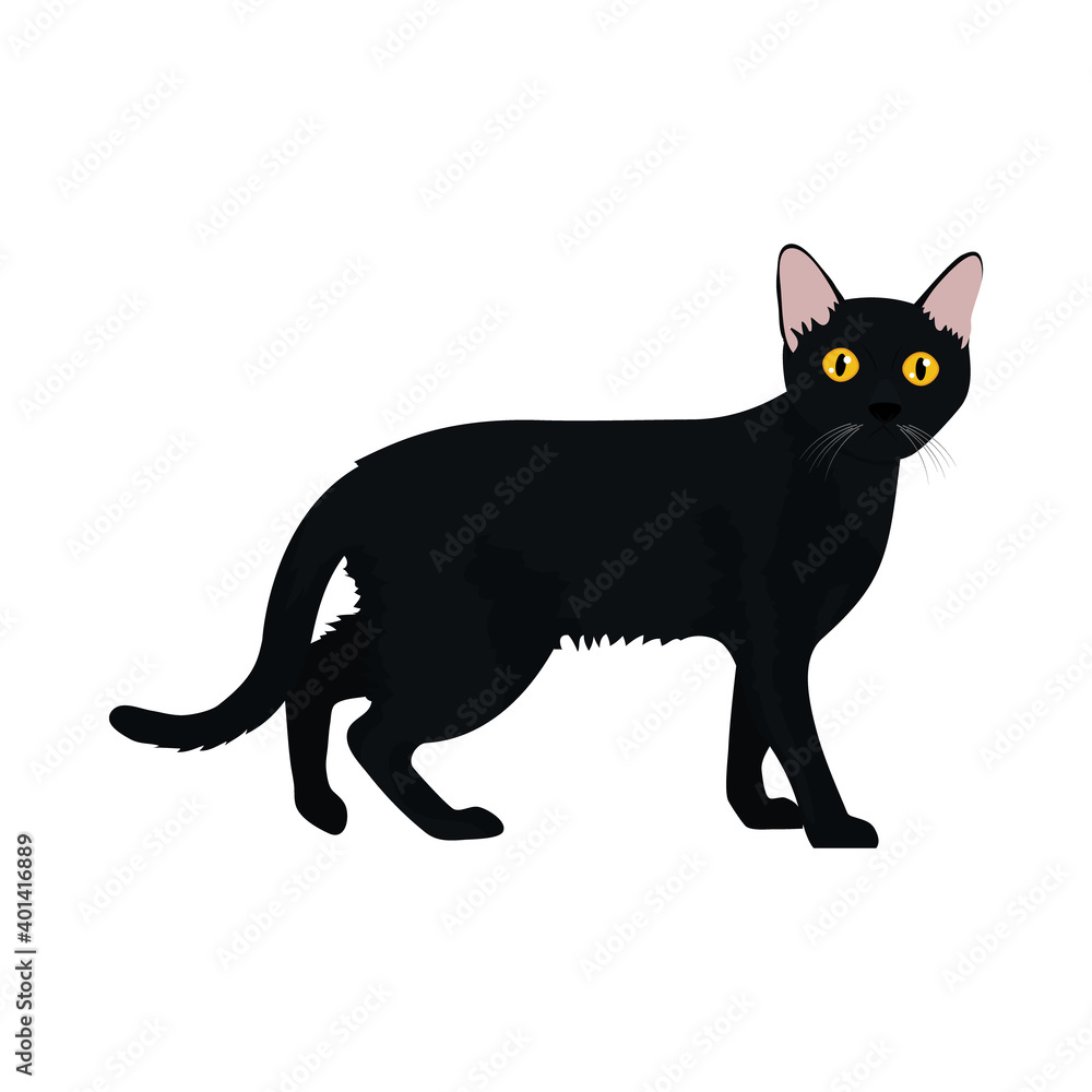 cartoon black cat icon, colorful design