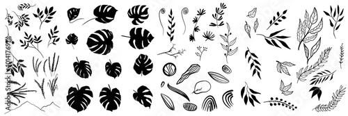 Big set with floral, monstera, wreath, design elements, frames, mountain, calligraphic. Vector floral illustration with branches, berries, feathers and leaves. Nature frame on white background.