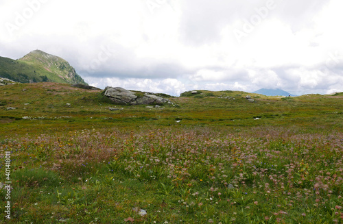 spettacolare vista montana delle Dolomiti in estate