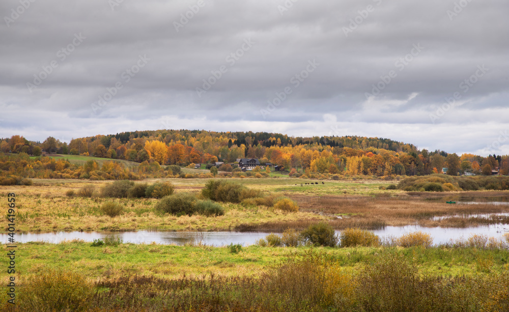 Landscape near Mikhaylovskoye - State museum-reserve of Alexander Pushkin. Pskov oblast. Russia