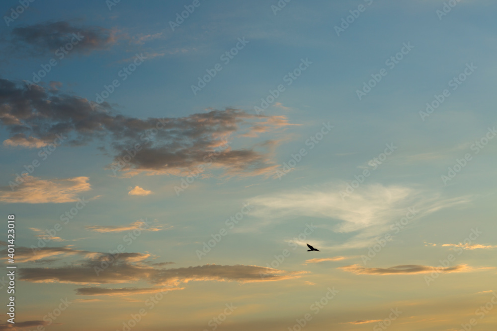 sunset in the sky sunset in the sky