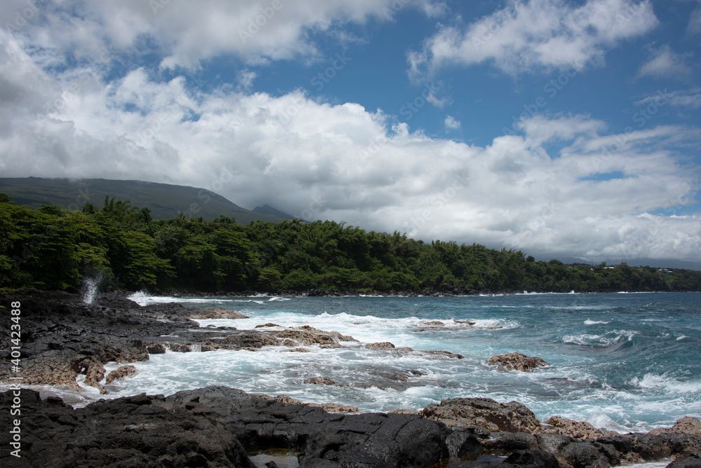 Volcanic shoreline landscape in the tropical Reunion island, more natural eastern region, France, Tropical Europe.
