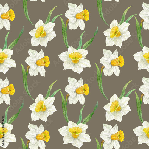 Fototapeta Naklejka Na Ścianę i Meble -  Hand painted watercolor seamless pattern Narcissus blossom