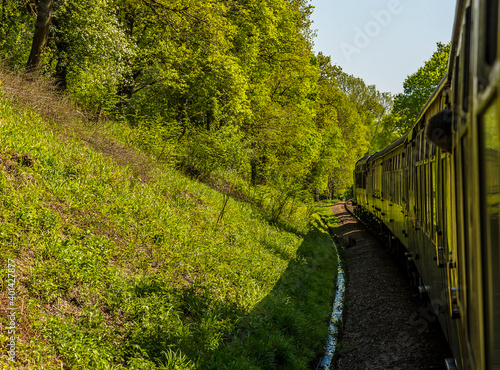 A view of the wooded banks from a steam train on a railway in the UK on a sunny summer day
