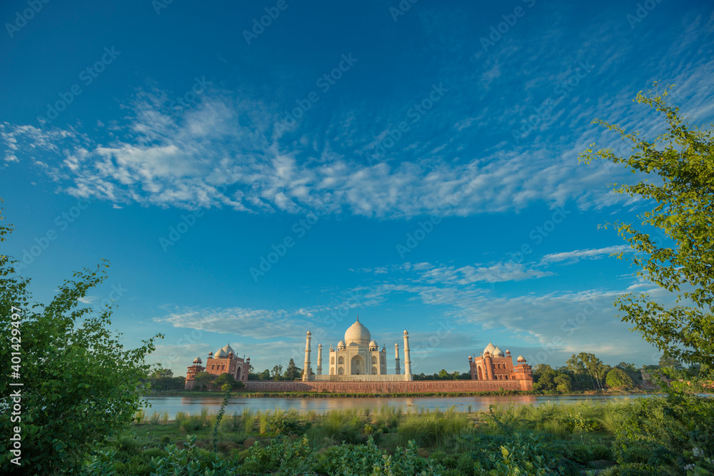 Taj Mahal Delhi at early morning, Agra, Delhi, India