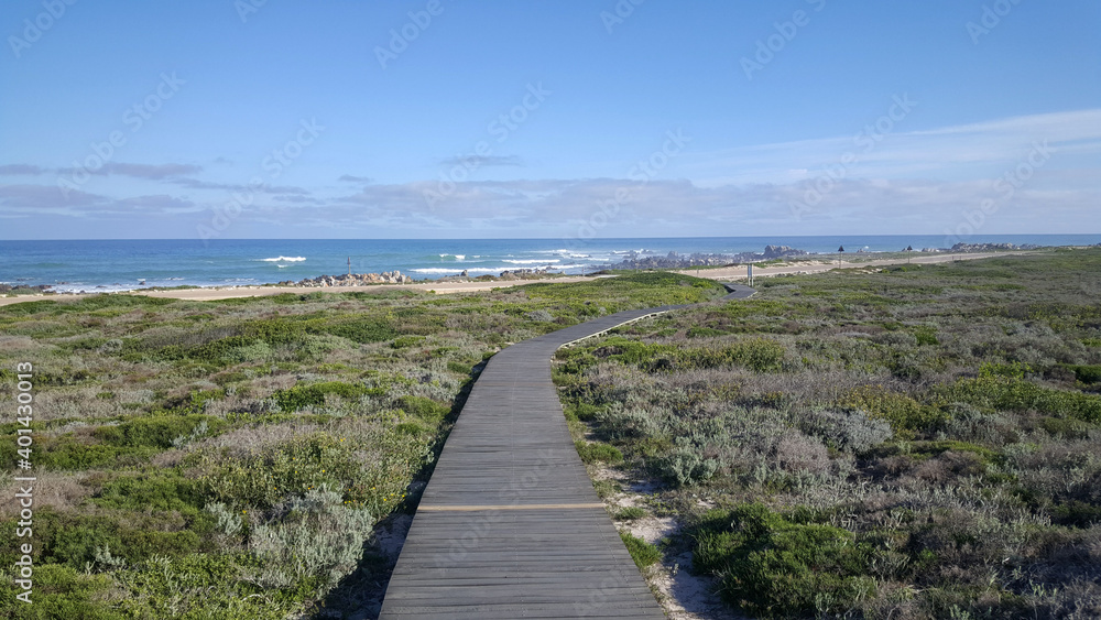 Path towards the coast of Cape Agulhas