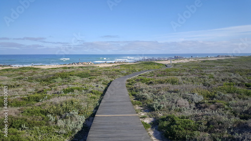 Path towards the coast of Cape Agulhas