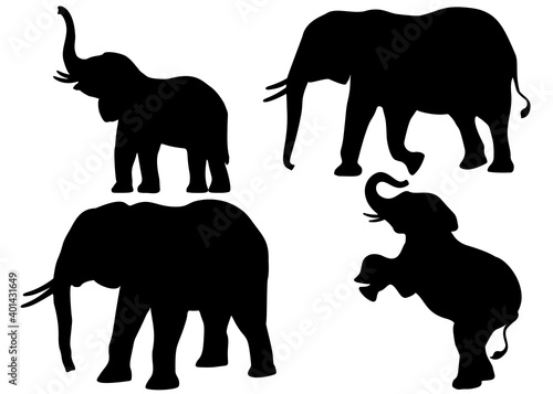 Elephants in the set. Vectral image.