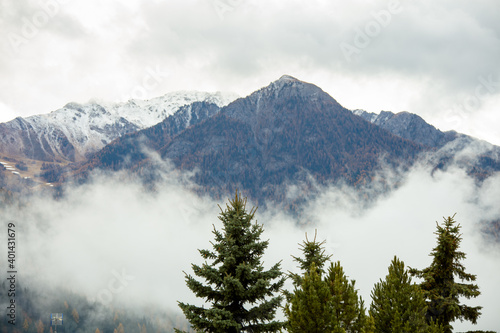 landscape with mountains, fir trees and fog