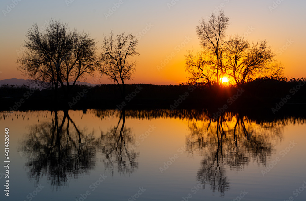 Sunset on the Pond Sunset on the Pond