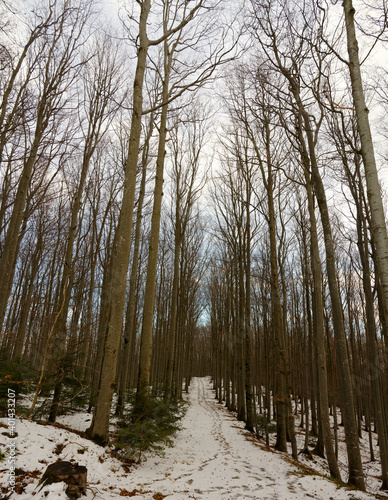 Winter in Niederösterreich - Schöpfl
