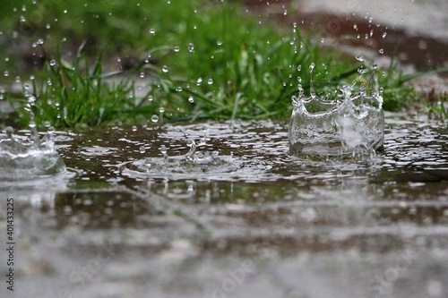 rain is falling in a puddle in the garden