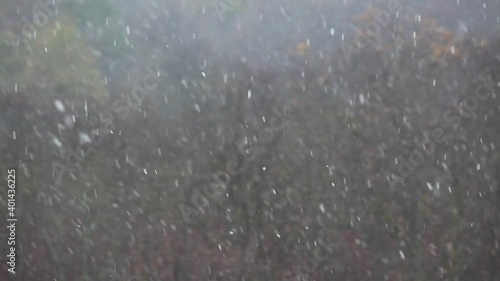 Closeup of snowfall against dark blurred tree background
