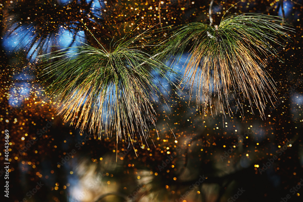 Green and yellow pine needles shining brightly on the winter forest background, light bulbs and illuminating effects