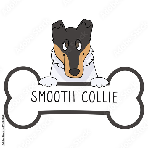 Cute cartoon Smooth Collie on collar dog tag vector clipart. Purebred doggy identification medal for pet id. Domestic dog for pet pooch. 