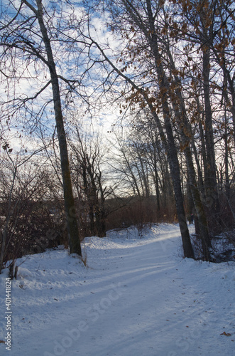 A Snowy Trail at Gold Bar Park