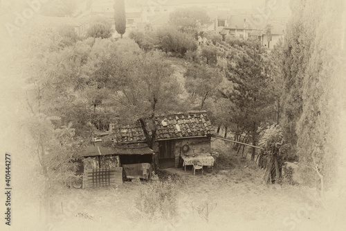 Fototapet Photo-illustration of a small shack in an olive grove in Certaldo, Tuscany, Italy