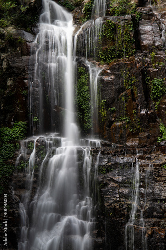 Close-up view of Minnamurra Falls  NSW  Australia.