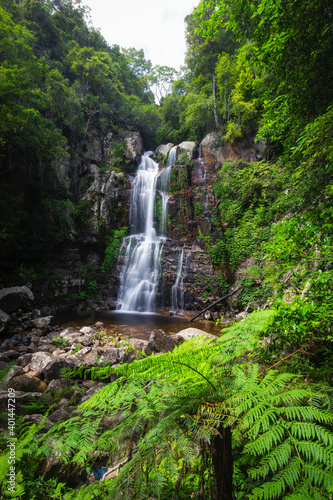 Green trees surrounded Minnamurra Falls, NSW, Australia.