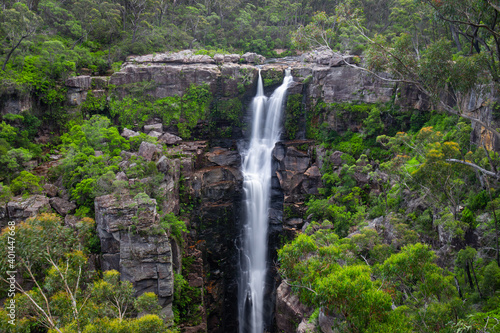 Carington Falls surrounded by green trees  NSW  Australia.