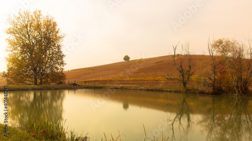 Paesaggio autunnale delle Langhe con riflesso su laghetto, Piemonte, Barolo