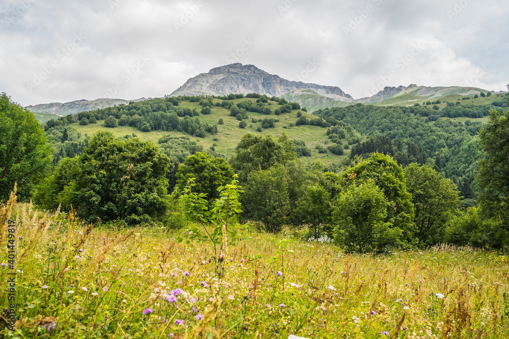 Mountain ridge covered with forest under blue sky. Picturesque scenery of mountain slopes and peaks covered with green lush foliage under blue sky in sunny summer day.