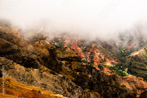 foggy day in the canyon hawaii