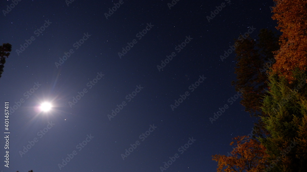 Fototapeta premium night sky with stars