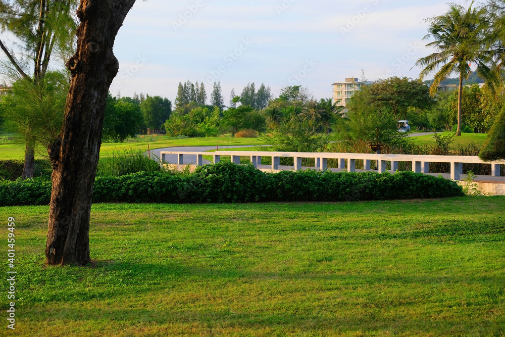 Path walk amid green grass and trees with a pond by the sea and mountain 2 Path walk amid green grass and trees with a pond by the sea and mountain 2
