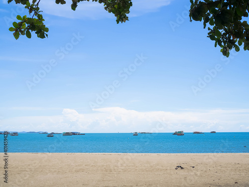 ฺBue ocean and beach with blue sky and leave Samanea saman. for article  travel summer holidays. Sea pattaya thailand concept. © wing-wing