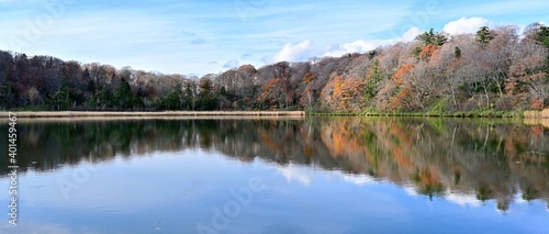 晩秋の八幡平大沼のパノラマ紅葉情景＠秋田