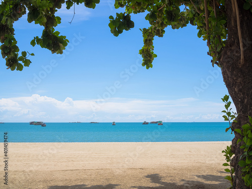 Fototapeta Naklejka Na Ścianę i Meble -  ฺBue ocean and beach with blue sky and leave Samanea saman. for article  travel summer holidays. Sea pattaya thailand concept.