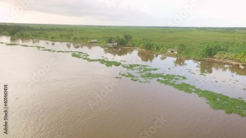 Drone view of a small indigenous canoe crossing a mound of floating algae in the Orinoco River Delta photo