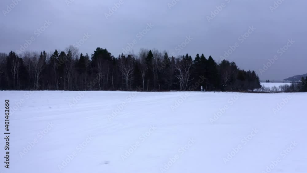 Drone moving over a forest and revealing the Saint-Lawrence river in winter in Charlevoix Drone moving over a forest and revealing the Saint-Lawrence river in winter in Charlevoix