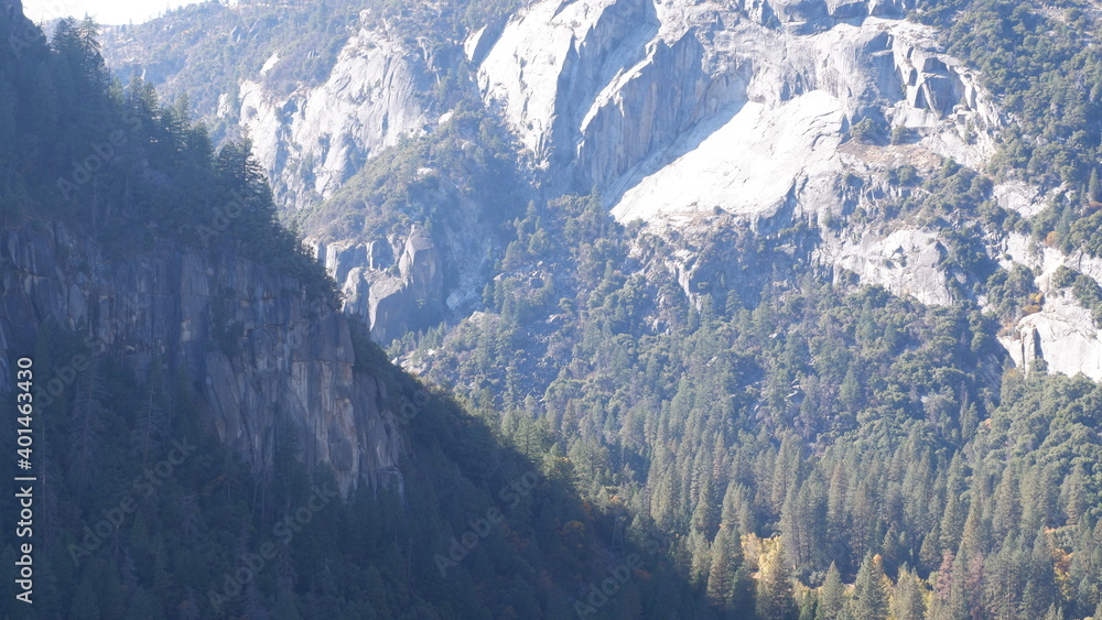 Fototapeta premium Mountain and forest landscape