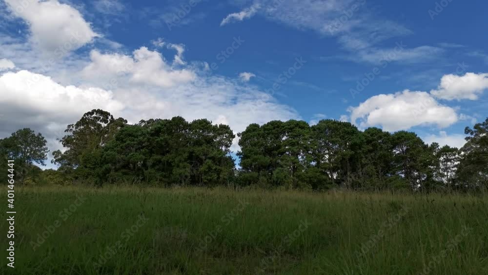 Beautiful park with green grass, tall trees and deep blue sky and white clouds, Heritage Park, Castle Hill, Sydney, New South Wales, Australia
Beautiful park with green grass, tall trees and deep blue sky and white clouds, Heritage Park, Castle Hill, Sydney, New South Wales, Australia