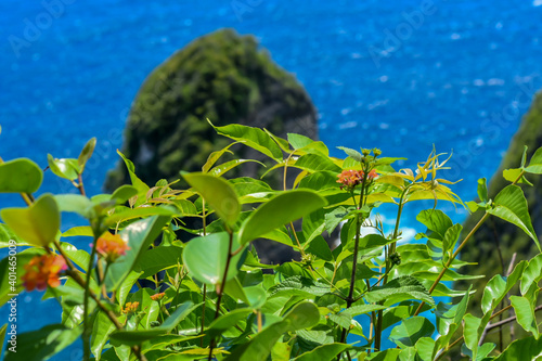 Beautiful beaches in bali - nusa penida kelingking beach, uluwatu, pandava beach, tanah lot, kuta beach